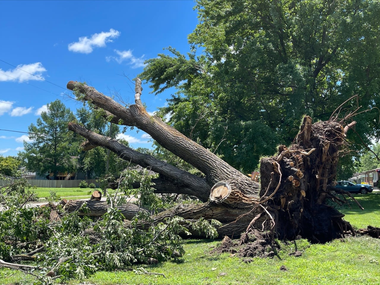 Silver Lake community helps clear trees, branches after major storm