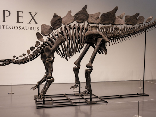 Dinosaur skeleton fetches record $44.6m at auction