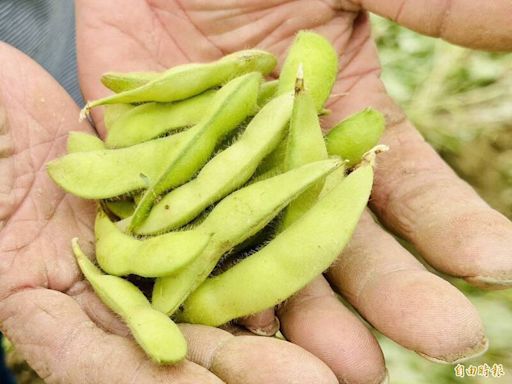 健康網》茹素也能飲食均衡 5大類食物這樣吃 - 自由健康網