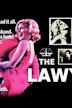 The Lawyer (film)