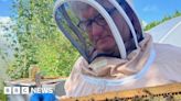 Asian hornets pose 'massive risk', Lincolnshire beekeeper warns