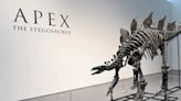 US Billionaire Buys Largest Stegosaurus Skeleton For $44.6 Million, Shatters Auction Records