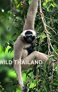 Wild Thailand