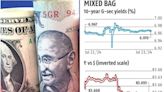 Budget 2024: Lower fiscal deficit estimate for FY25 cheers bond market