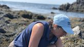 How to count the bubbles on sea spaghetti: A tidal pool adventure with Coastal Carol