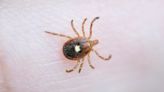 Scientists Found a Tick Weeks Ahead of Schedule. For Hikers, That’s Bad News.