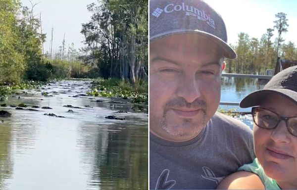 In Georgia's Okefenokee Swamp, alligators swarm canal in viral video: 'Gators everywhere'