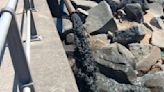 Sewage seen spilling into the sea on Dorset beach | ITV News