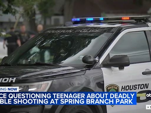 Juvenile among 2 dead after shooting at Spring Branch park, officials say