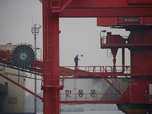 South Korea July exports set for strongest growth in 26 months: Reuters poll