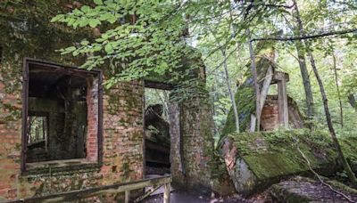 Auf der Wolfsschanze: Fünf Skelette im Haus von Göring gefunden +++ mit VIDEO