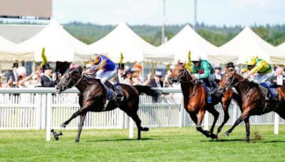 Auguste Rodin Earns Return Trip To Breeders' Cup Turf At Royal Ascot