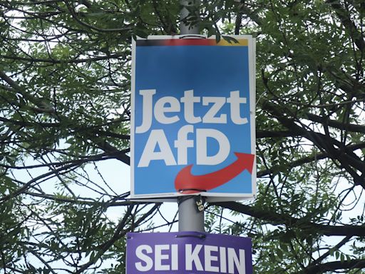 Alemania vive pendiente del efecto de los escándalos de AfD en las elecciones europeas