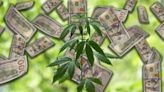 Medical Marijuana Giant Trulieve, Backer Of Florida's Recreational Cannabis Ballot, Narrows Loss, Reports Uptick In Q1...