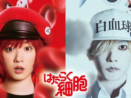 【動漫】《工作細胞》真人版電影公開首部預告！佐藤健、永野芽郁主演