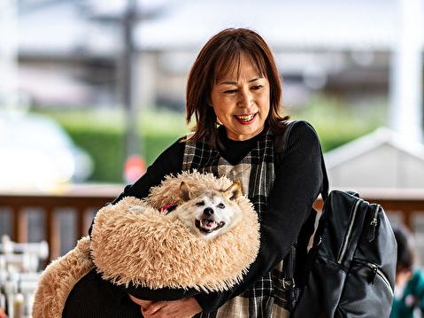 狗狗幣原型日本柴犬過世 全球粉絲痛心哀悼