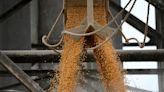 Analysis: Decades of US corn export dominance fade as Brazil seizes top supplier crown