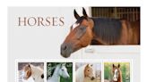 Postal Service Announces New Postage Stamps Featuring Horses to Debut at Pony Express Re-Ride