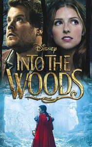 Into the Woods (film)