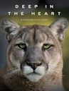 Deep in the Heart: A Texas Wildlife Story