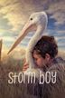 Storm Boy (2019 film)