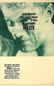 Bokser