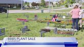 Big Brothers Big Sisters plant sale continues