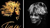 Broadway Theater To Dim Lights For Tina Turner