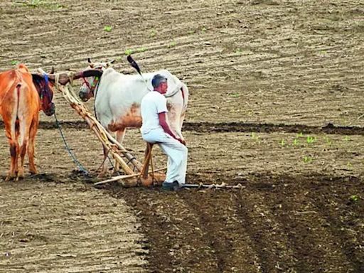 Marathwada farmers pray for rain for kharif crops amid dry spell | Aurangabad News - Times of India