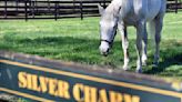 A life of leisure for Derby winner Silver Charm, alcohol and your health, and the USDA is testing beef for bird flu