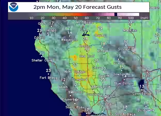 Windy Monday followed by sunny week for Northern California residents, NWS says