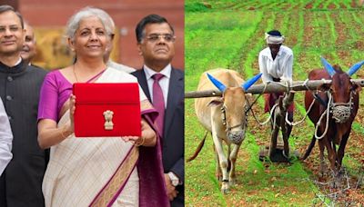 DPI at the grassroots: FM Sitharaman’s Budget 2024 gives farmers and agriculture a digital makeover