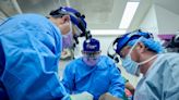 5 Things podcast: The organ transplant list is huge. Can pig organs help?