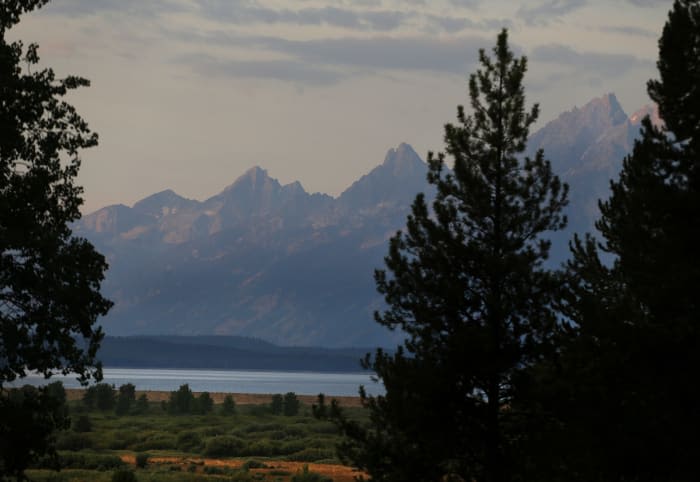 Grizzly that mauled hiker in Grand Teton National Park won't be pursued