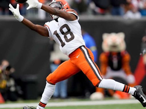 Browns WR Revealed To Be Training Camp 'Cut Candidate'