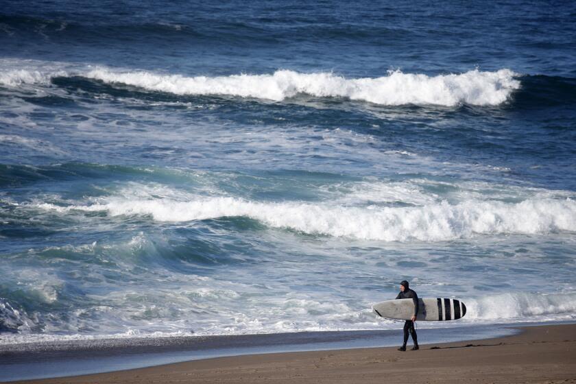 Mill Valley teacher suspected of sexual abuse is found dead near Drakes Beach