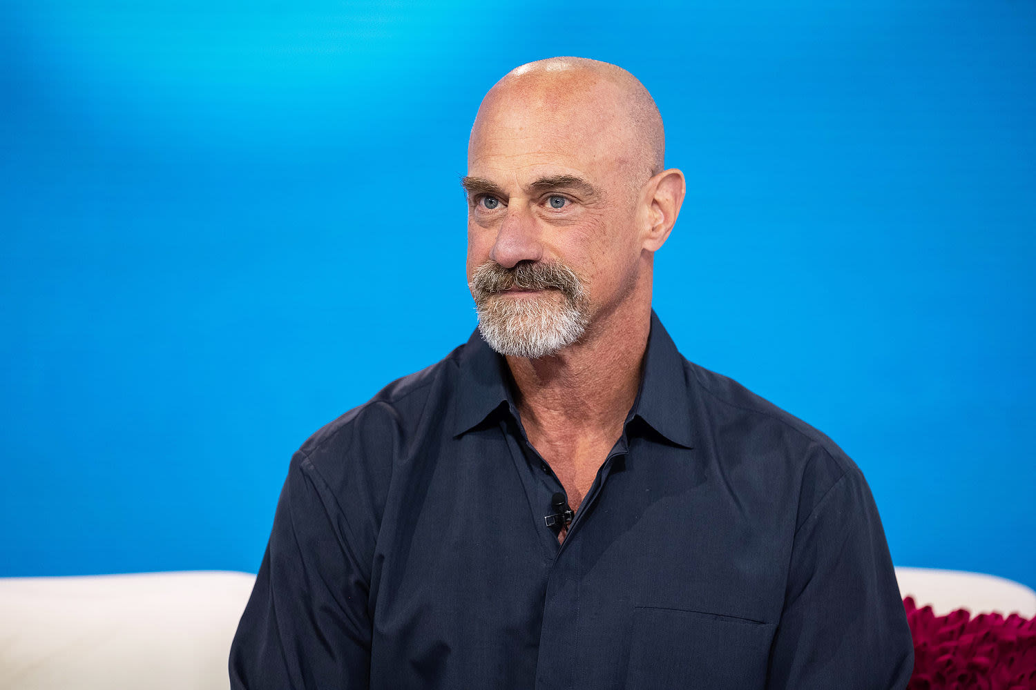 Chris Meloni says family member's 1st signs of Lyme disease were confused for stomach flu