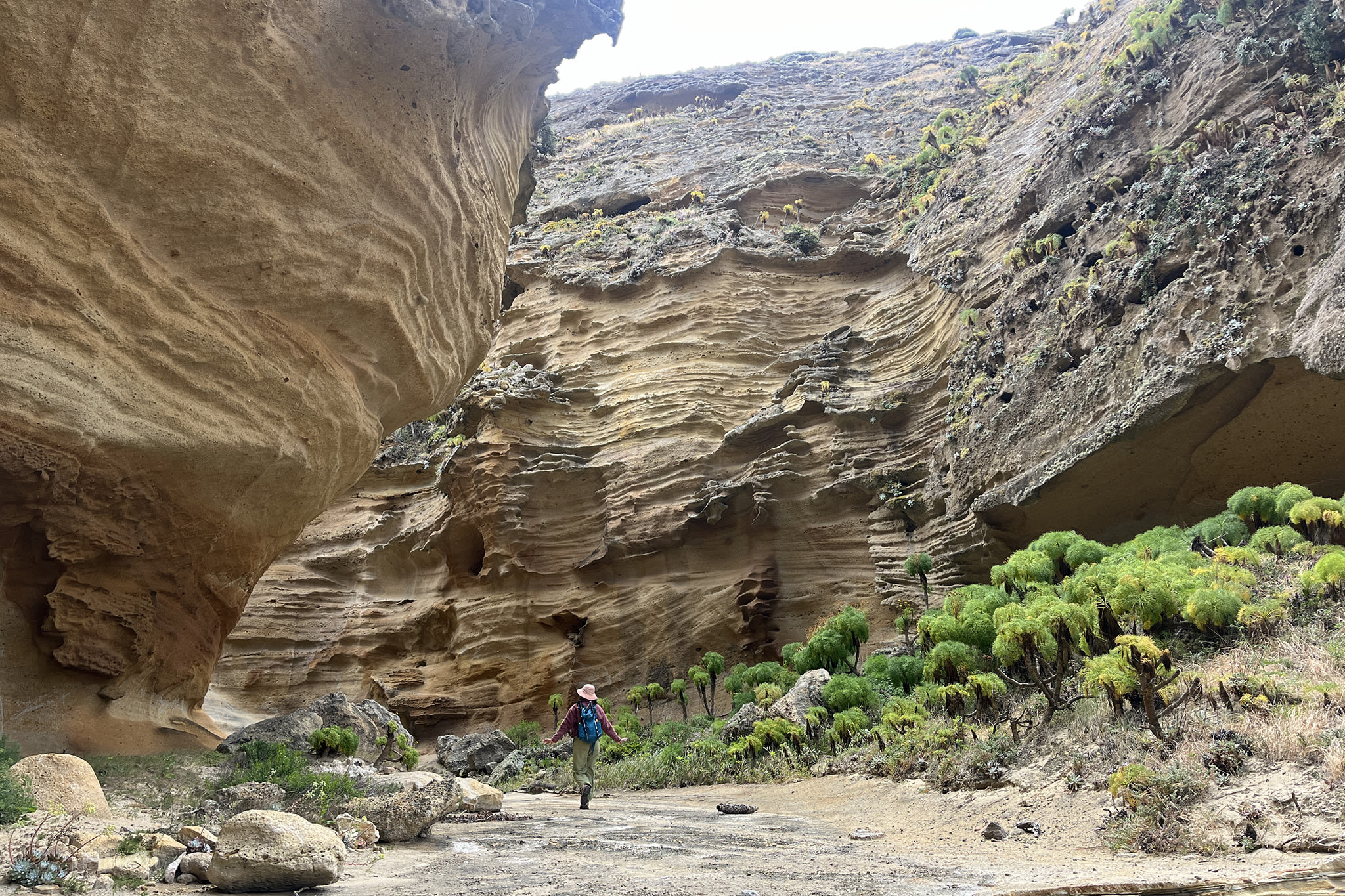 Dr. Seuss meets Zion on this wild California hike