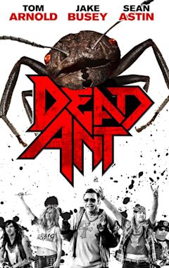 Dead Ant