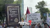 Trabajadores, Marea Rosa y estudiantes marchan contra reforma judicial previo a discusión en el Senado