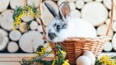 There's a Crazy Story of How the Easter Bunny Came to Be That No One Knows