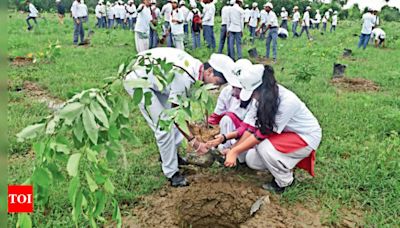 Uneven Green Cover in Delhi: Experts Question Plantation Plan | Delhi News - Times of India