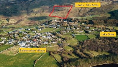 18-acre Wicklow property overlooking Blessington Lakes for sale at €89,000