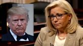 Will Trump and Pence Be Asked to Testify Before Jan. 6 Committee? Liz Cheney Dances Around an Answer (Video)