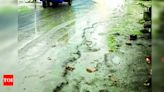 Riddled with potholes, roads in Odalbakra turn into death traps | Guwahati News - Times of India