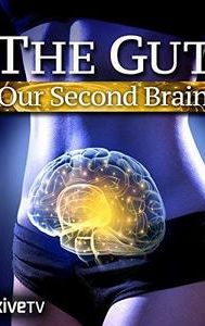 The Gut: Our Second Brain