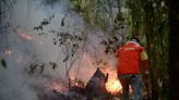 Forest fires spread in Mexico, at least four dead