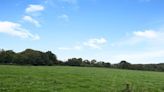 Local farmer pays €27,900 /ac for 19ac Wexford grass holding