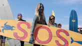 South Africa court to rule on Shell offshore oil exploration