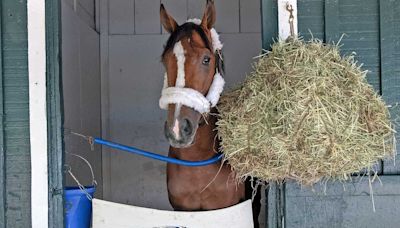 2024 Preakness post position draw